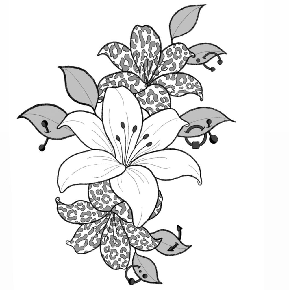 leopard flower