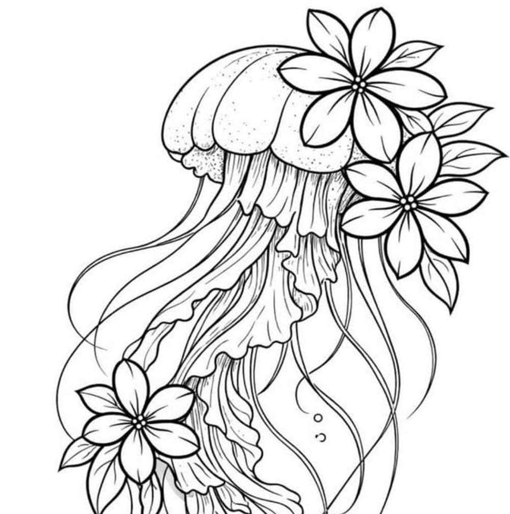 Jellyfish