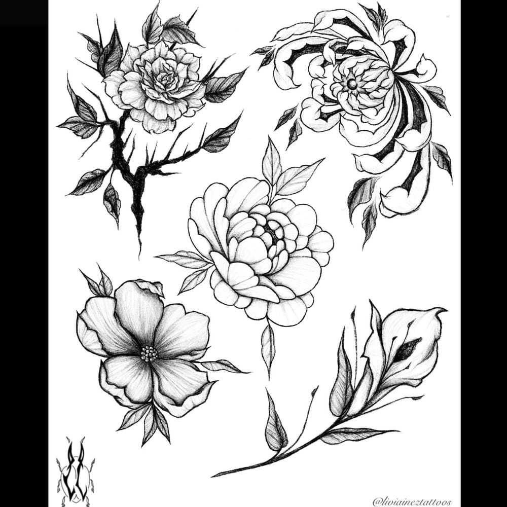 Illustrative Florals