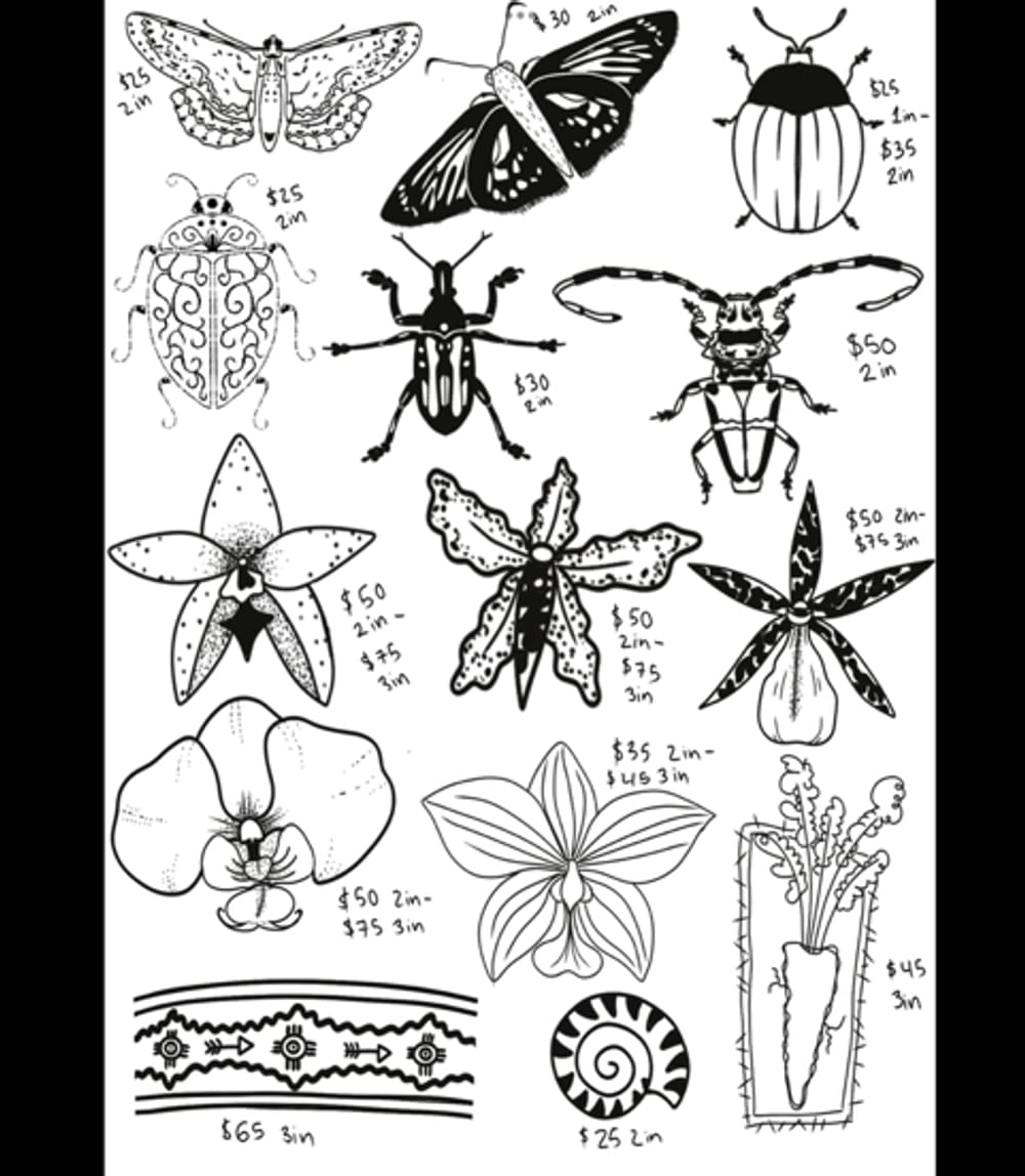 Buggos and orchids