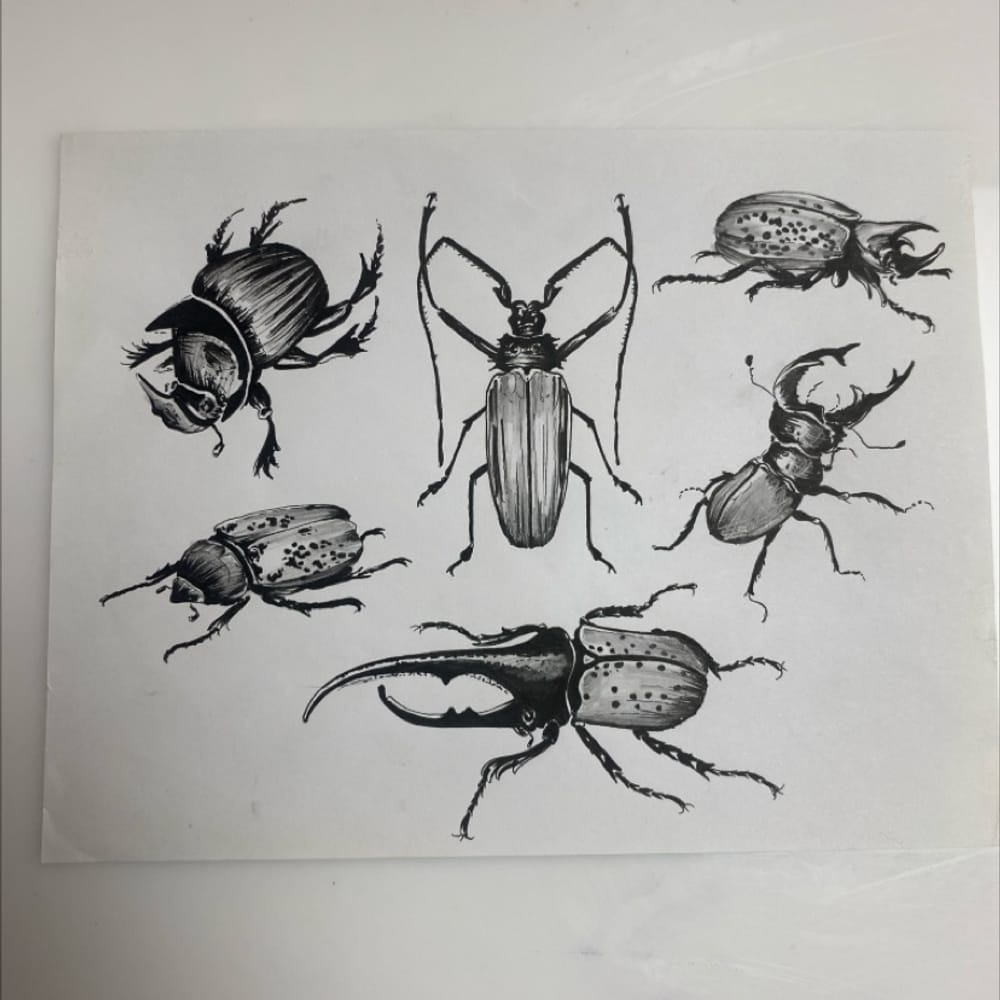 Beetles
