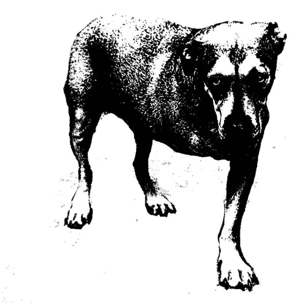 Alice in Chains doggy