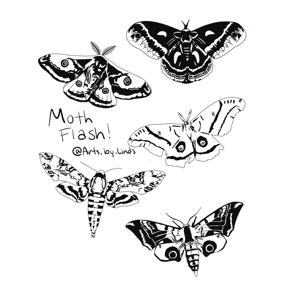 Moth flash
