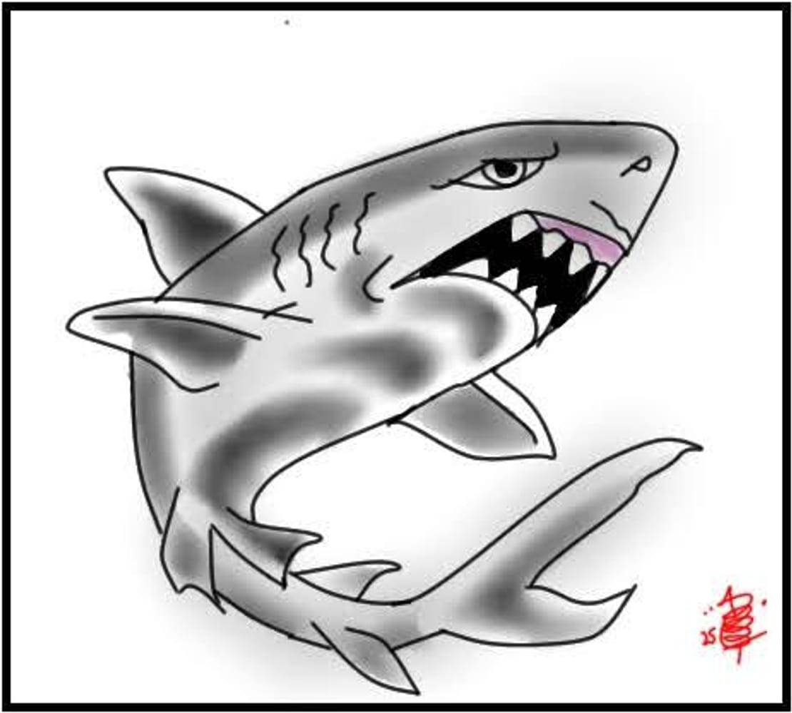 Shark 