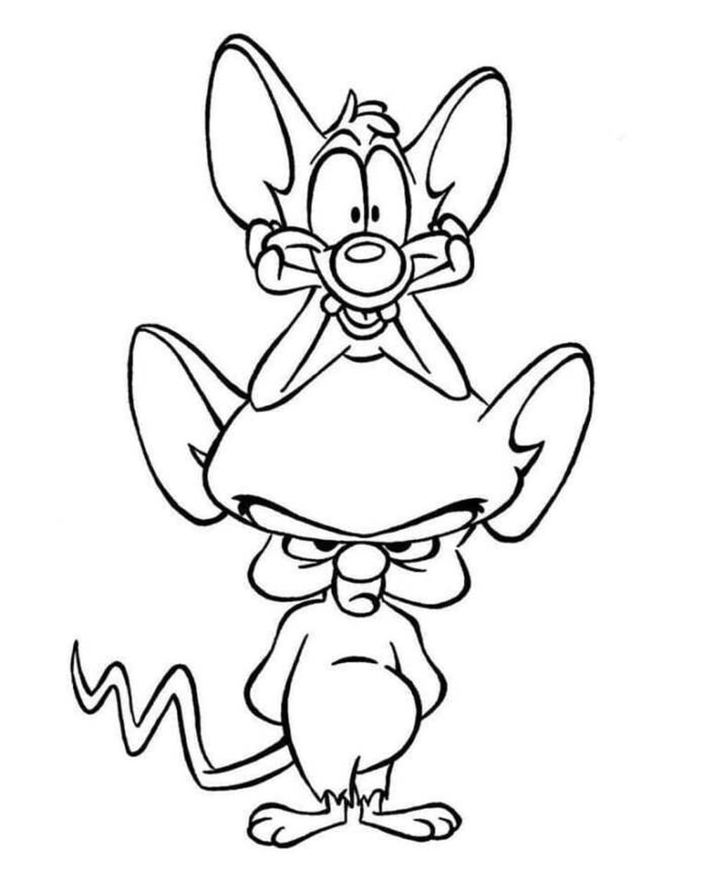 Pinky and the Brain
