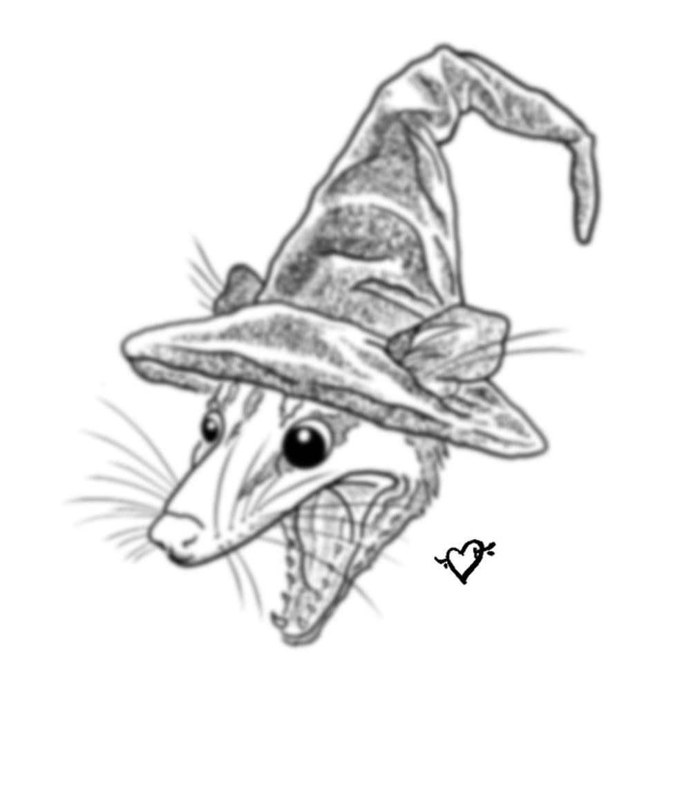 Opossum Wizard 