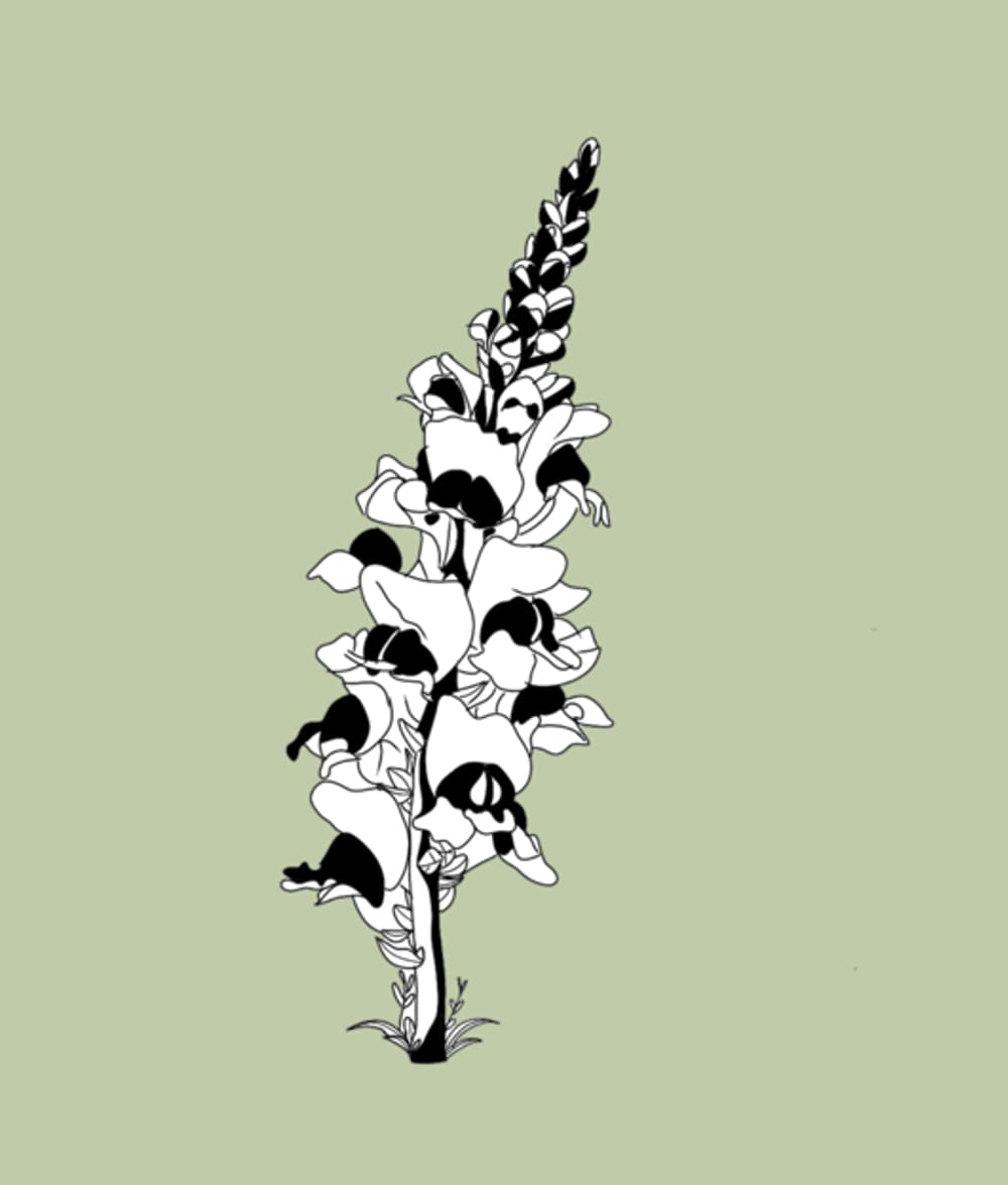 Snapdragon