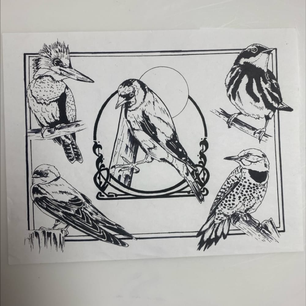 Birds