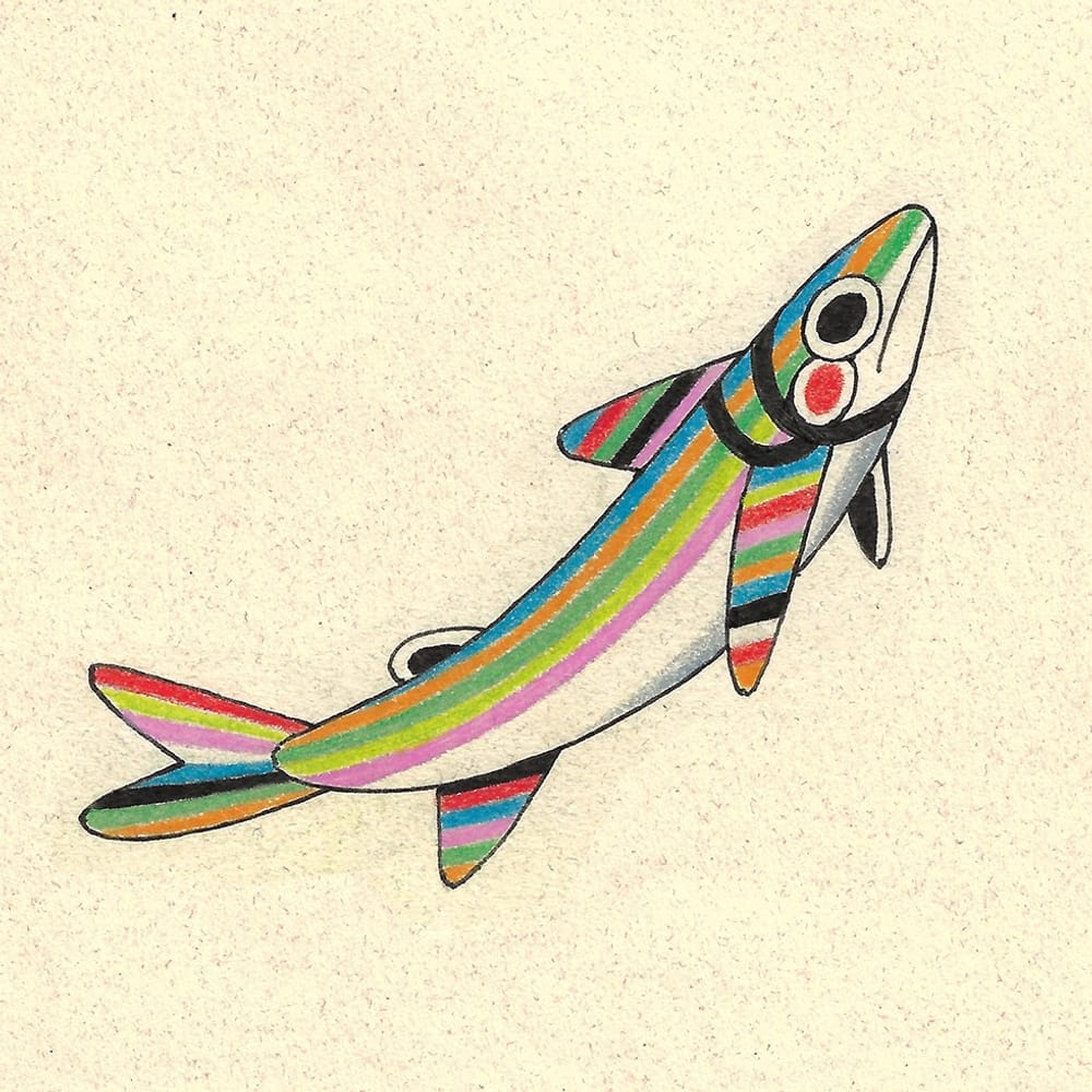 Rainbow Stripe Shark