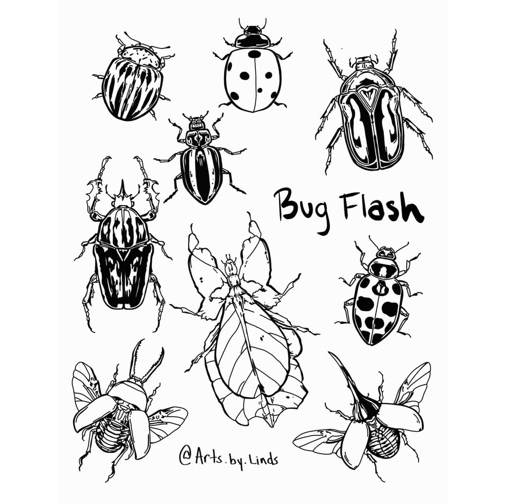 Bug flash