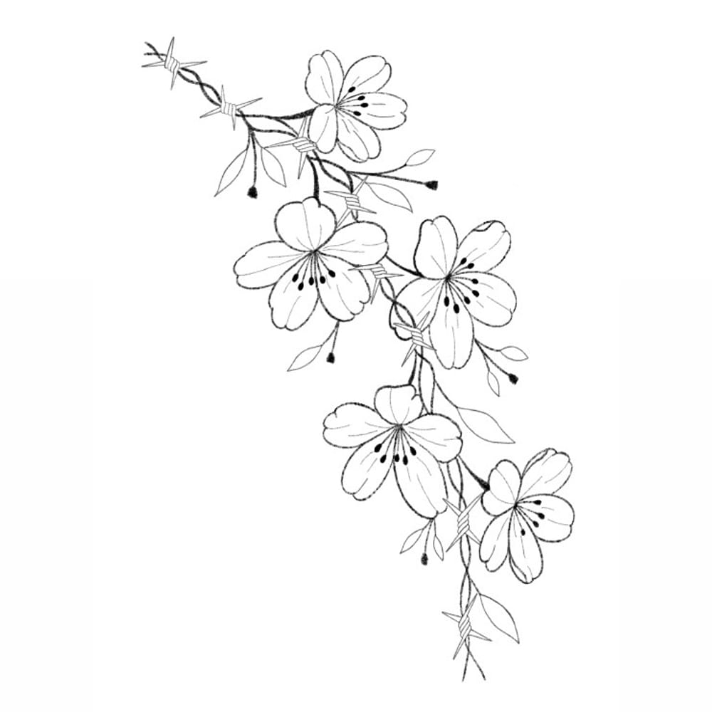 flowers & barbed wire