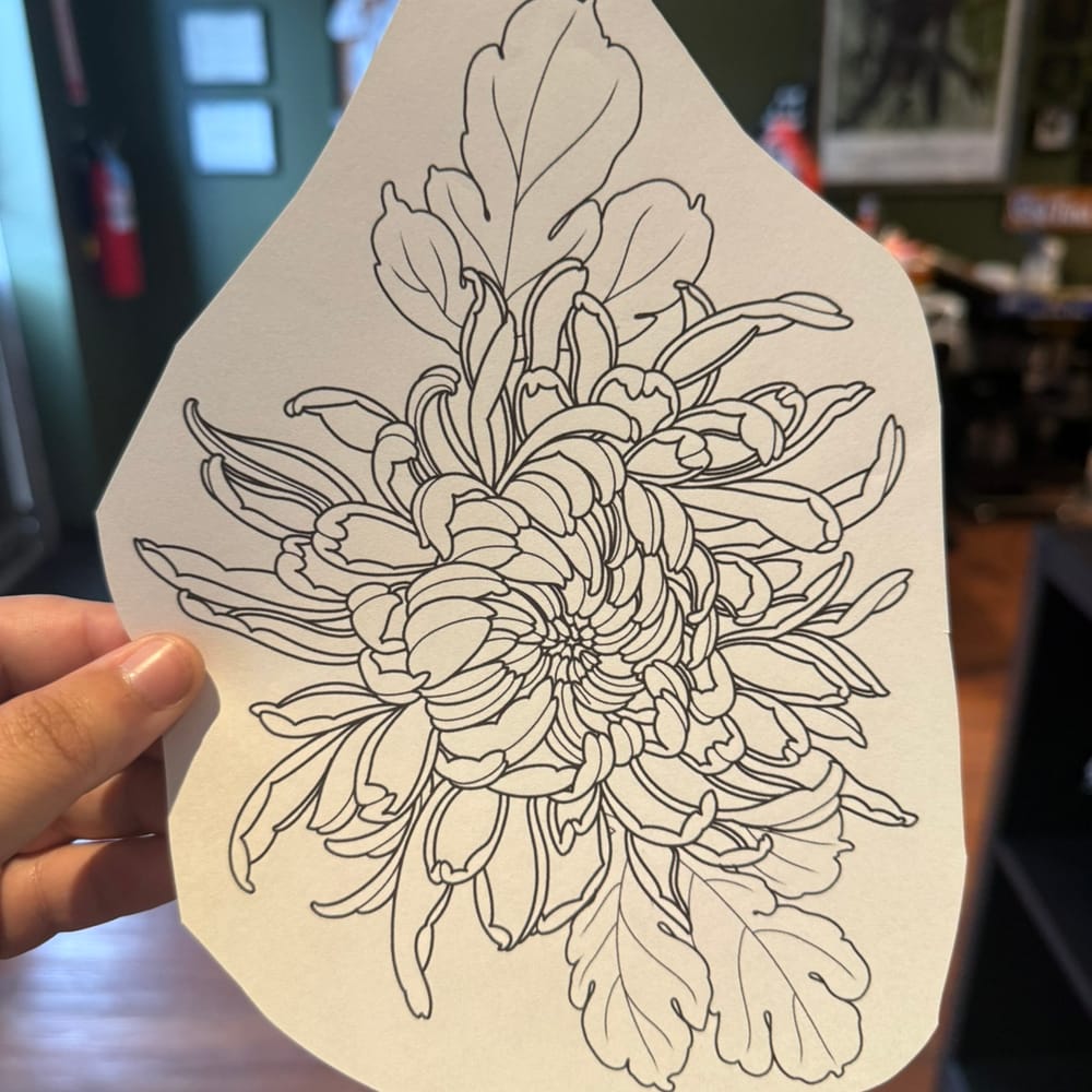 Chrysanthemum 