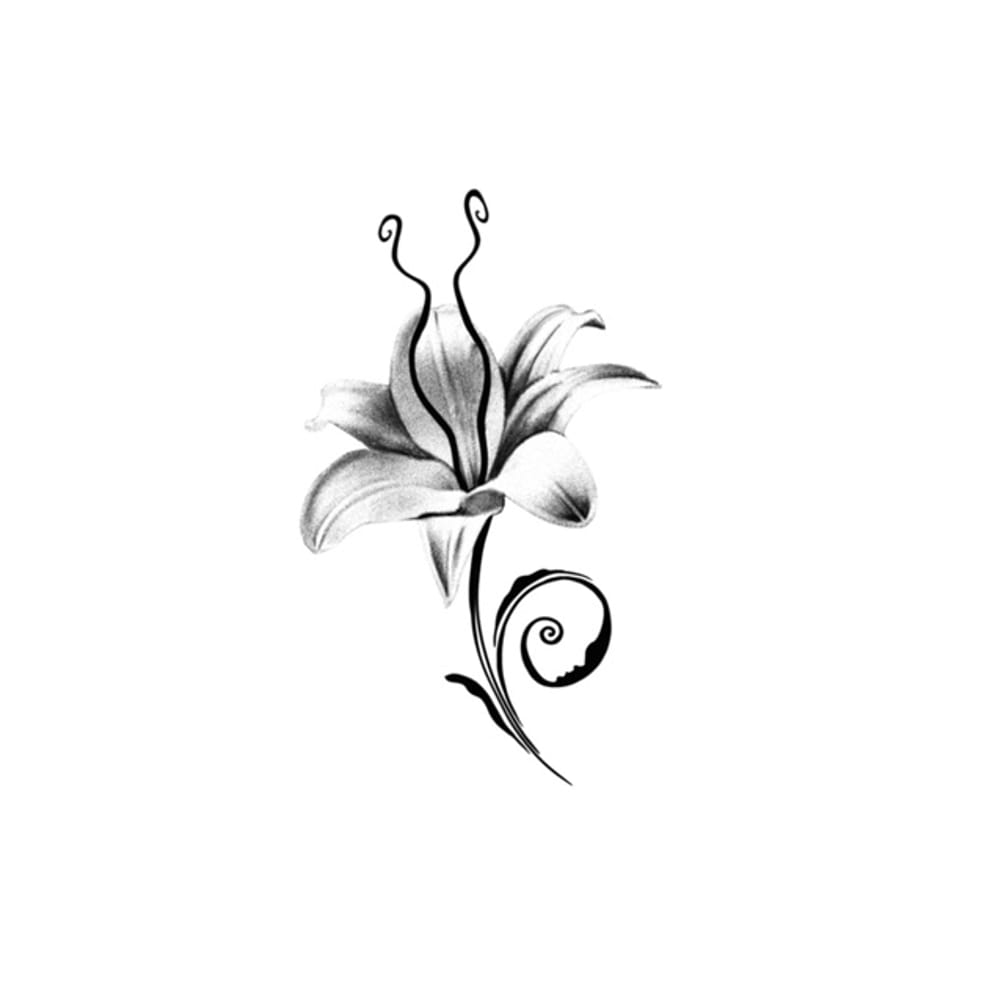 Lily bloom