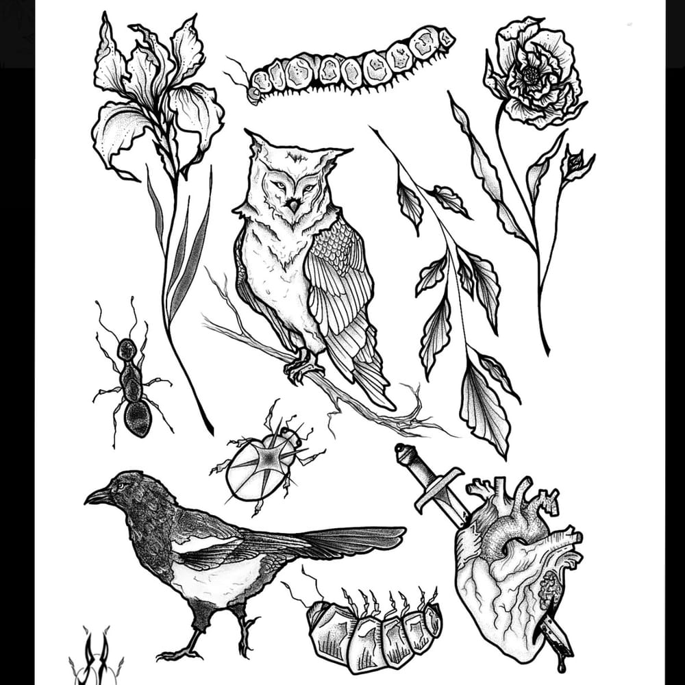 Birds & Botanicals Flash