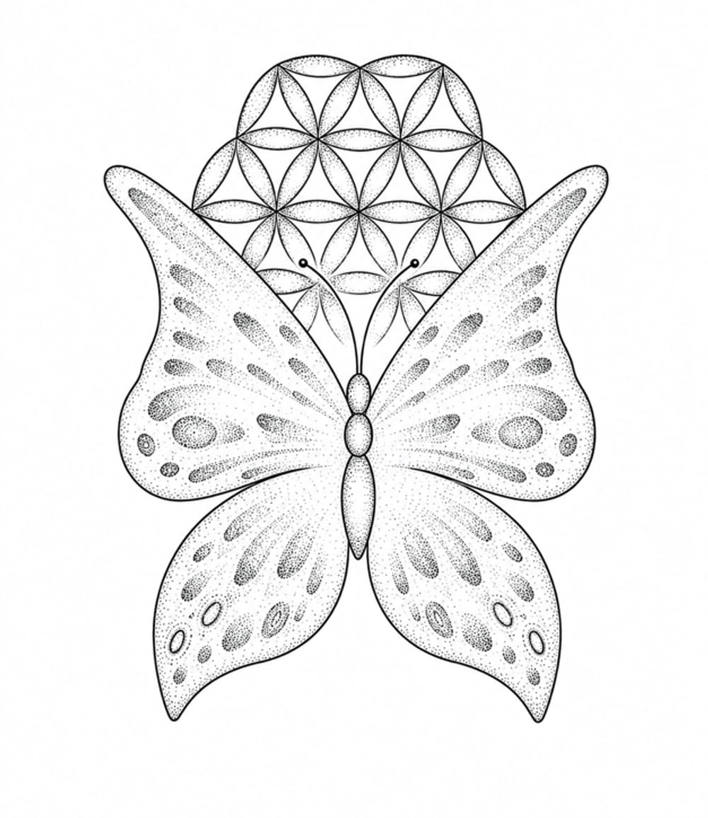 The Butterfly Effect