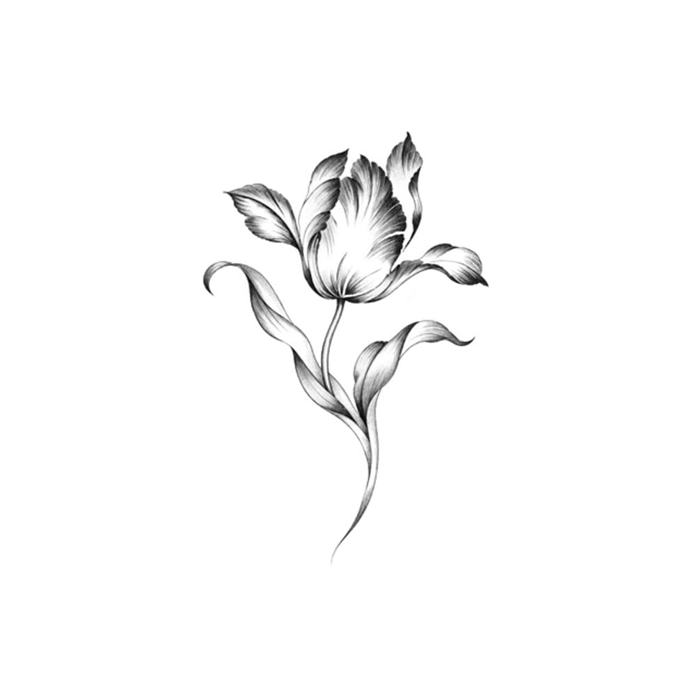 Tulip dance