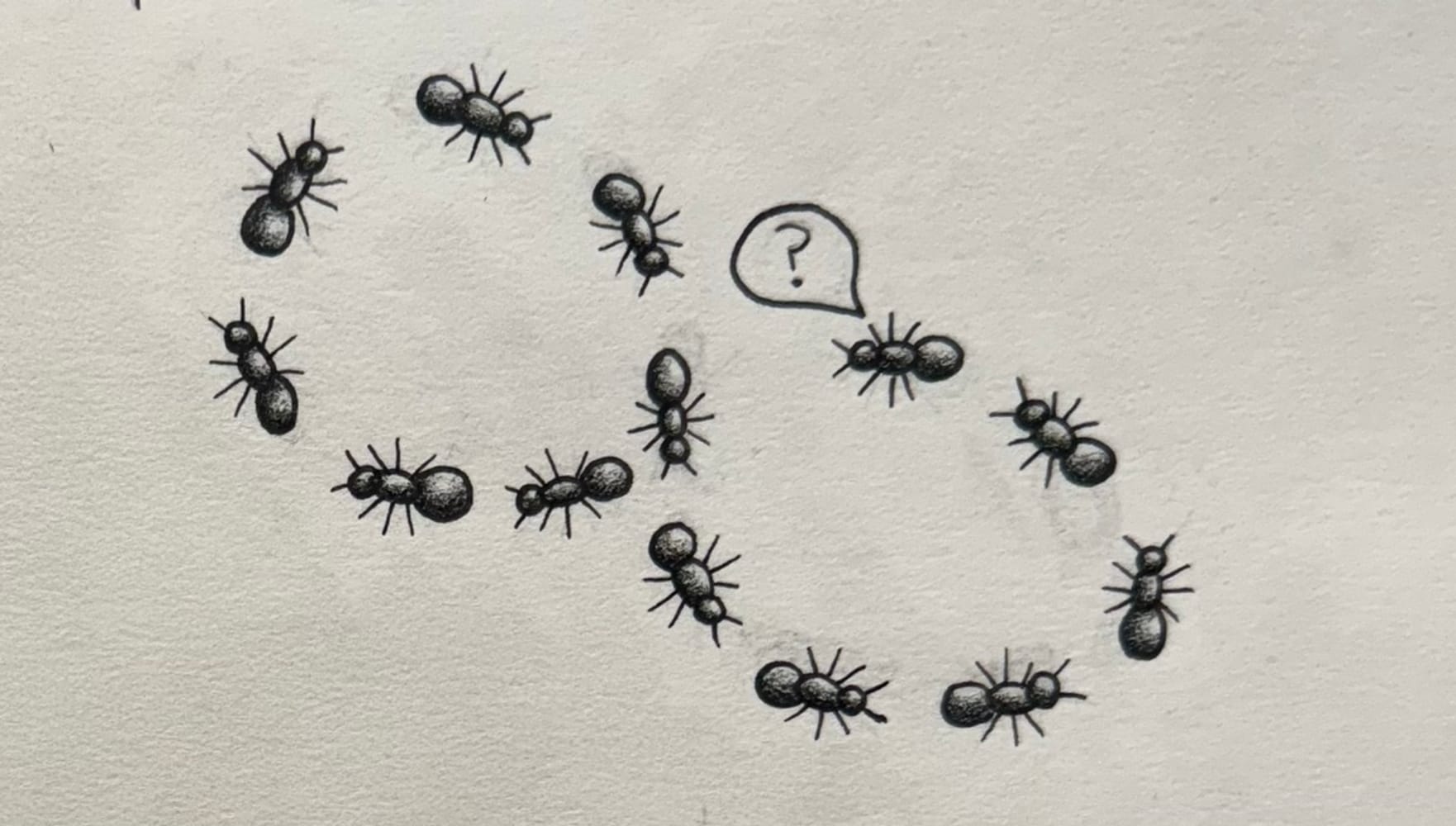Ants Go Marching