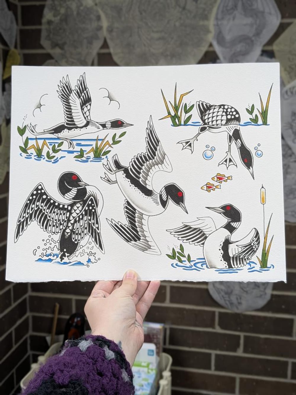 Loons Sheet 1