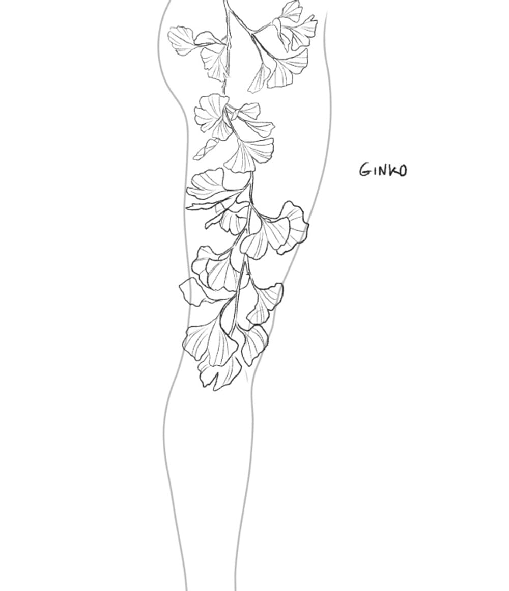 Ginko leaves