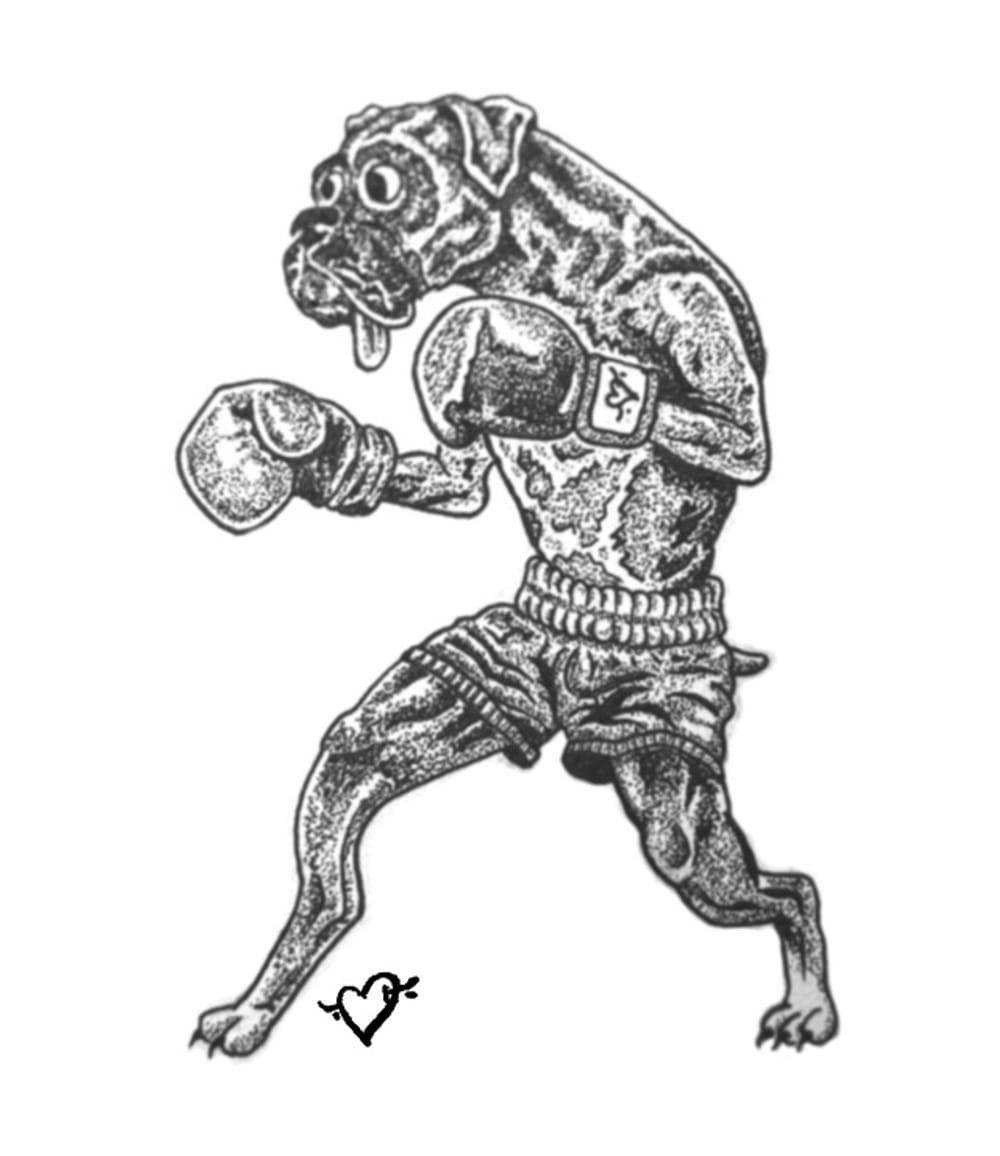 Another boxing boxer 