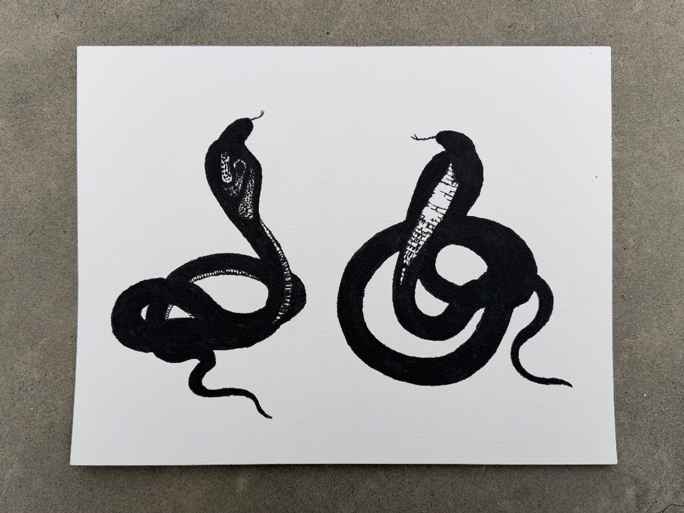 Snakes 