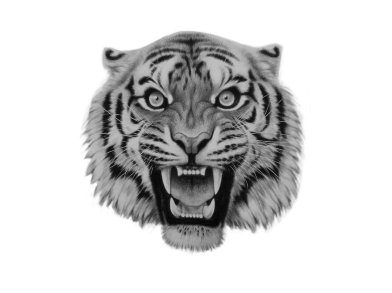 Tiger Head
