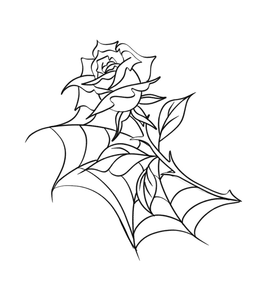 Rose & web 