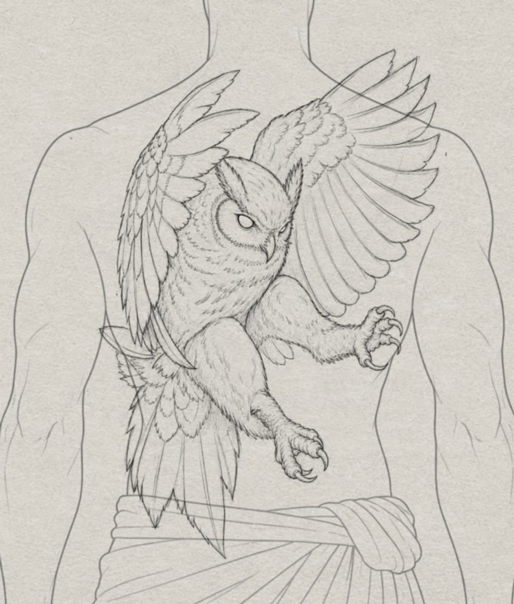 Owl