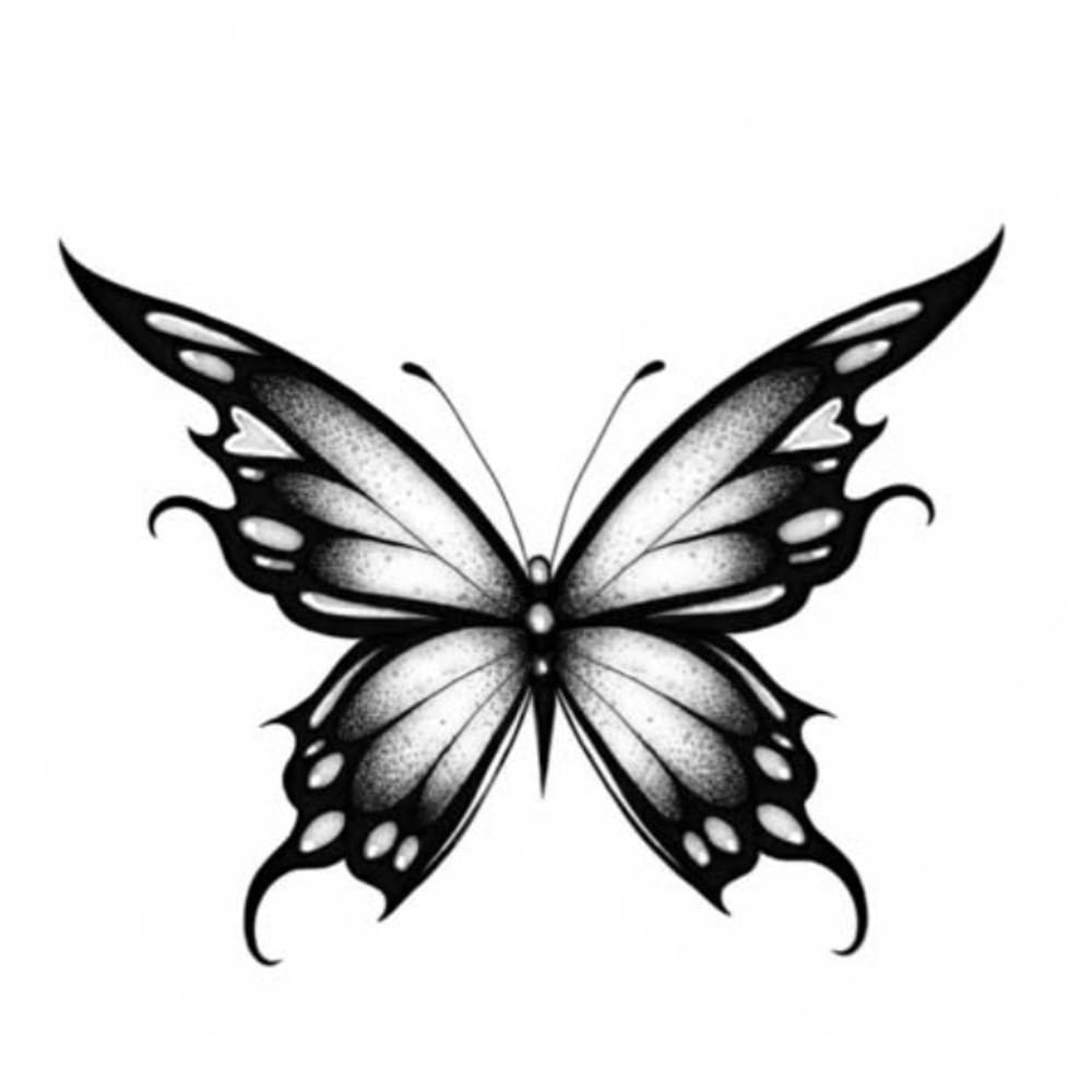 Butterfly 