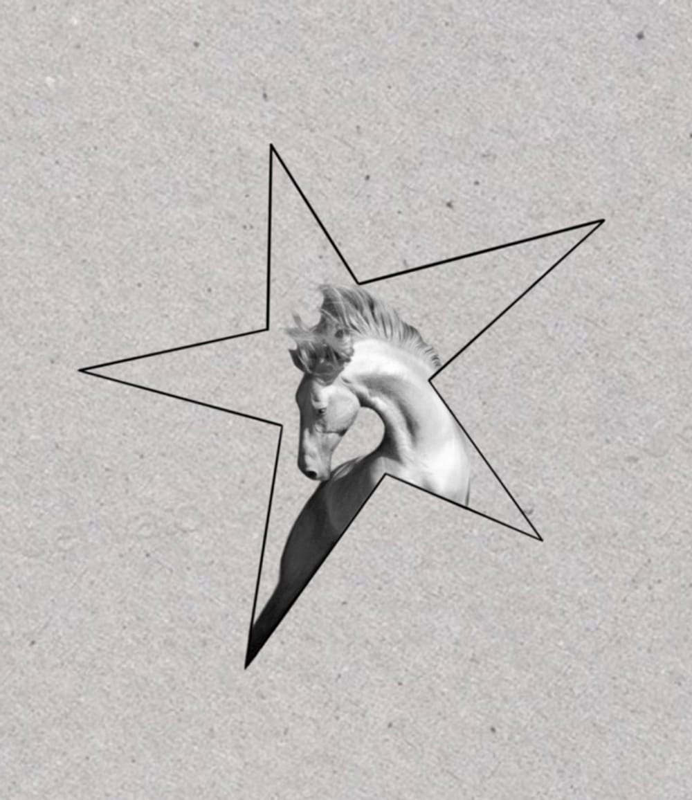 Horse in star