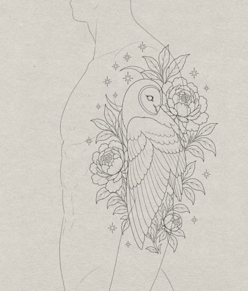 Owl