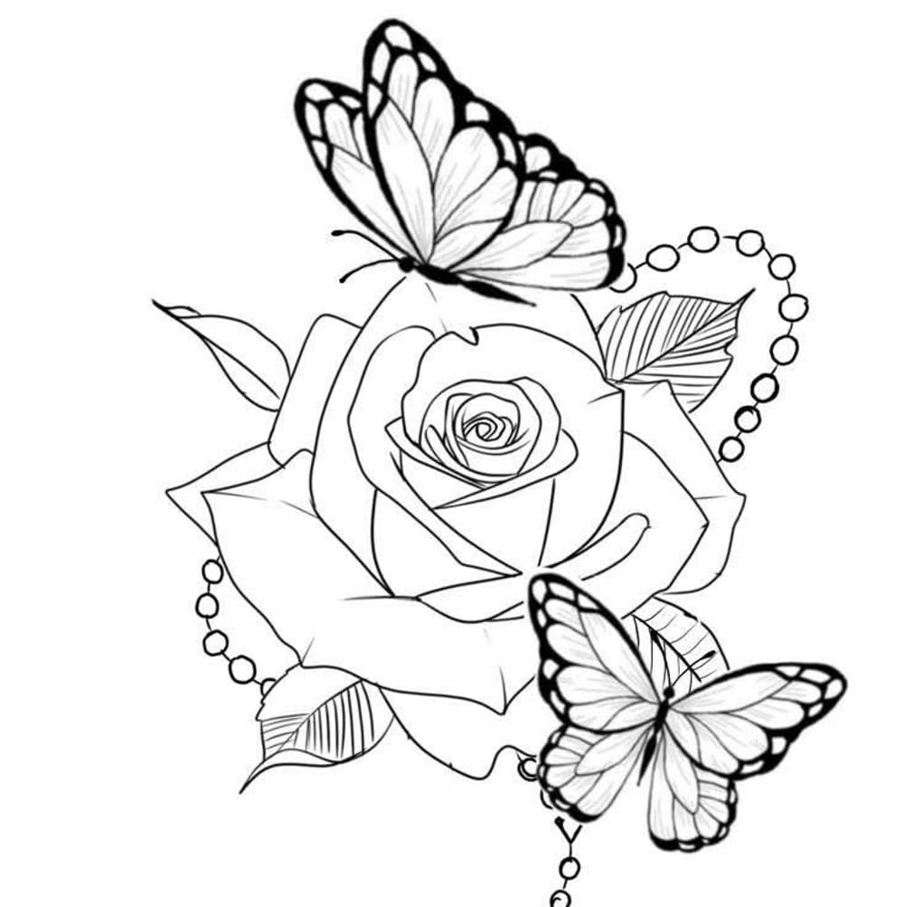 Delicate Beauty 