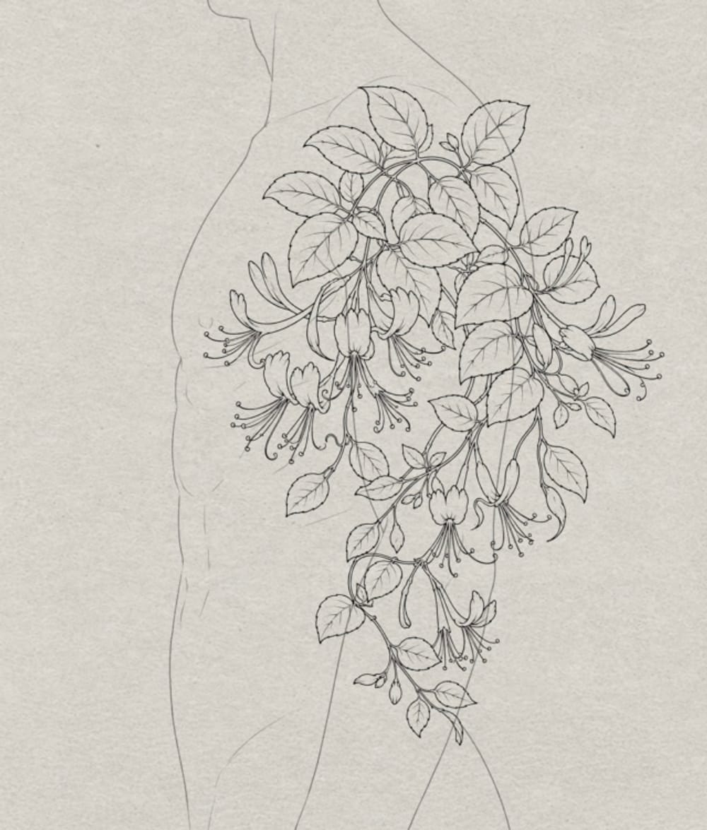 Honeysuckle