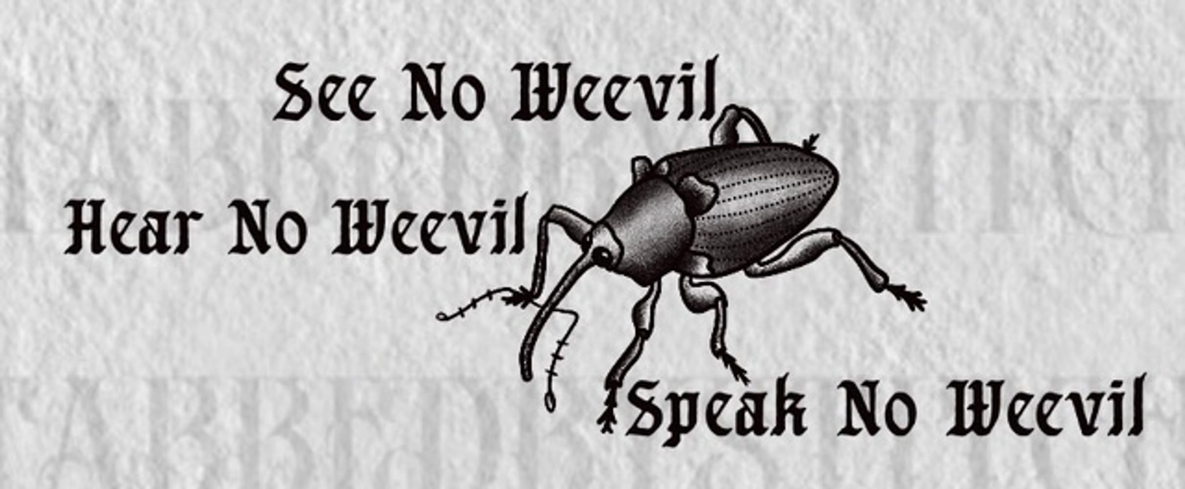 weevil against evil. 