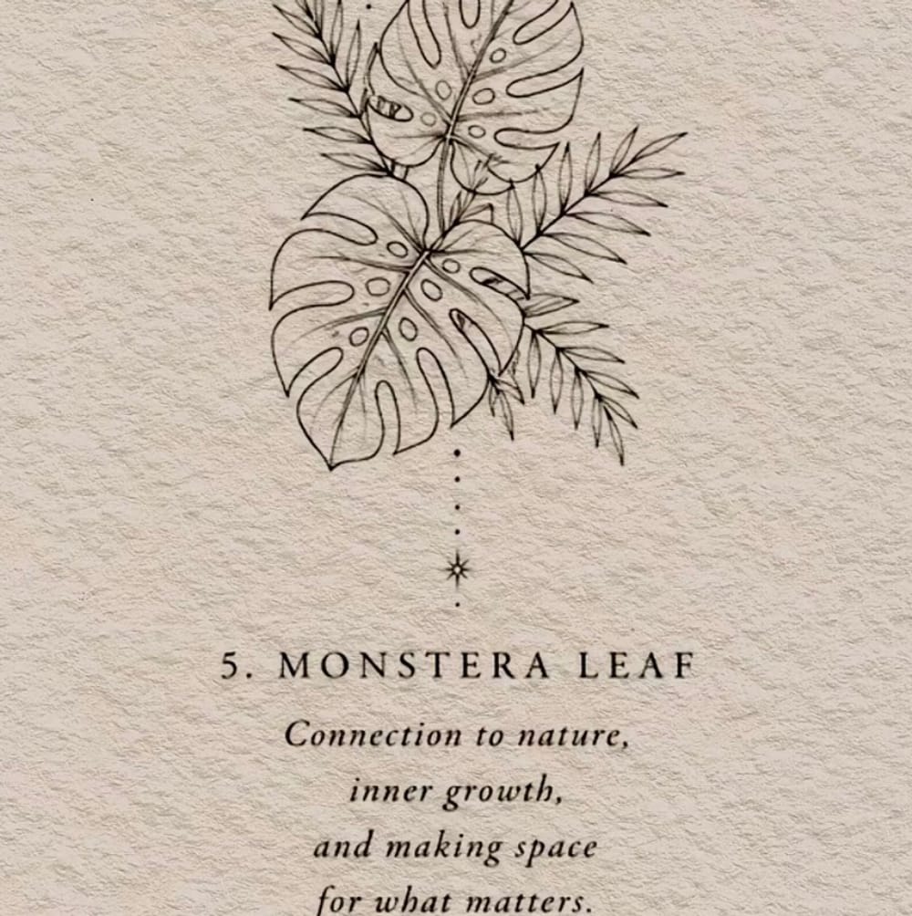 Monstera-Fine line