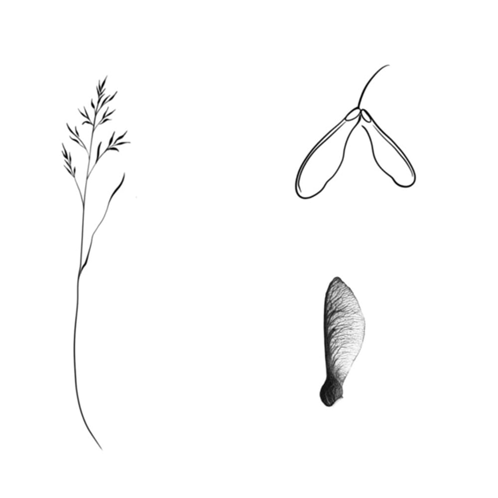 Field fragments 