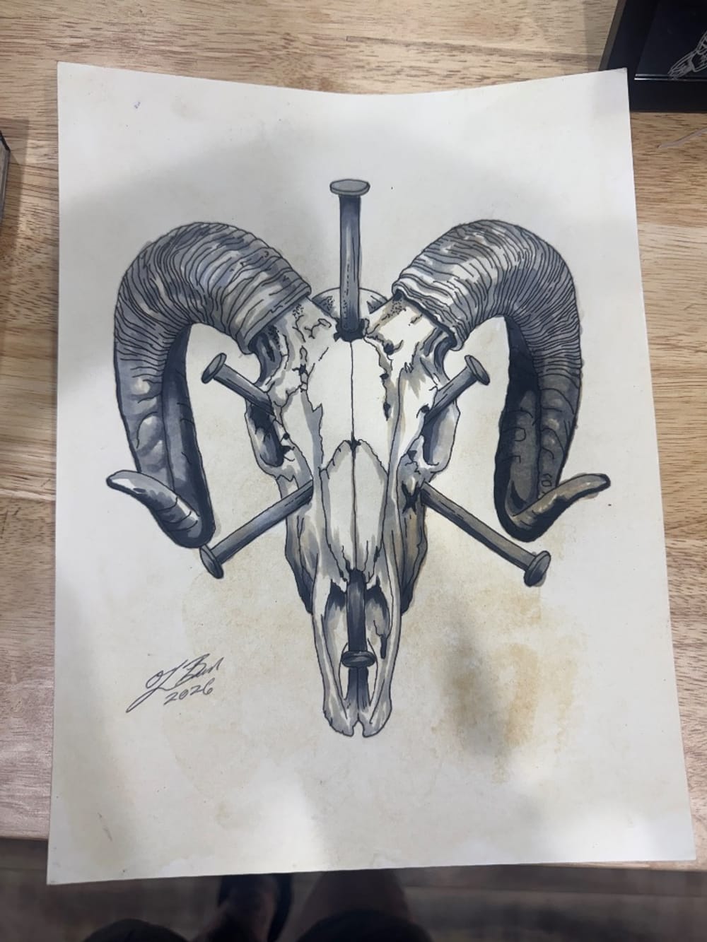 Rams Skull