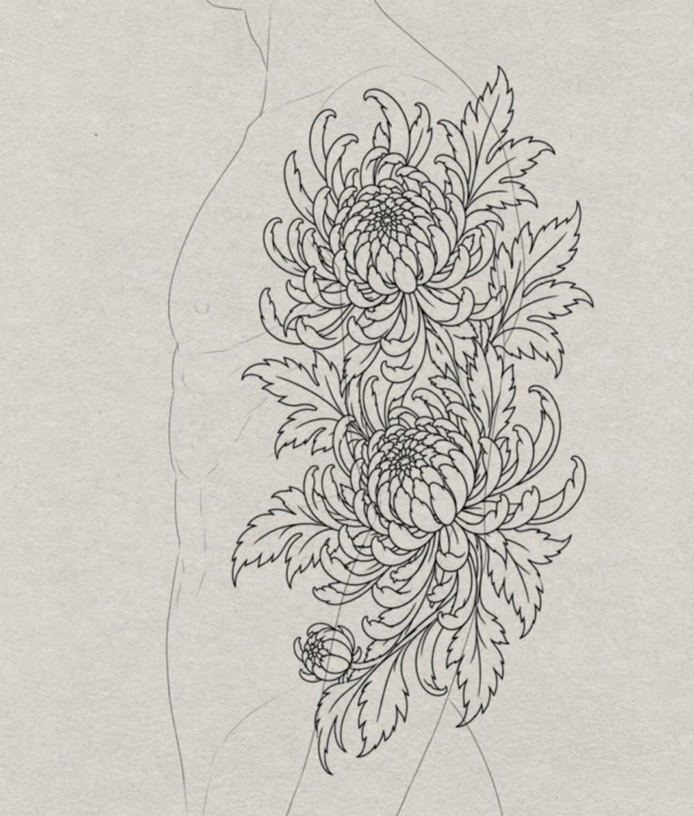 Chrysanthemum 