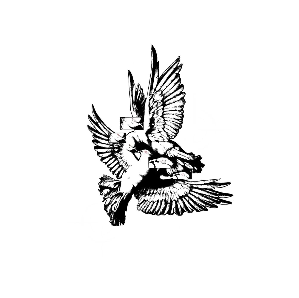 Straggle of Birds 