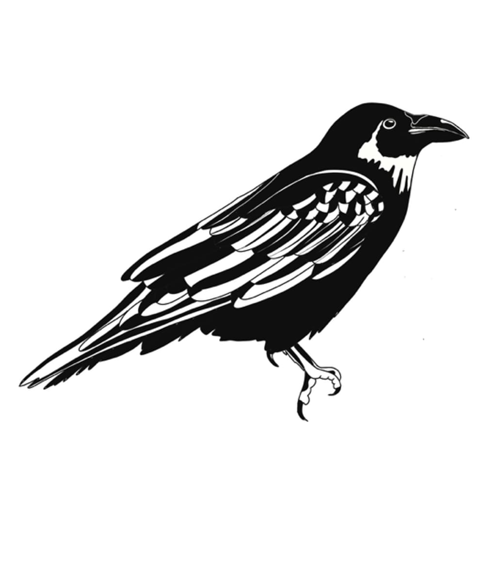 Raven