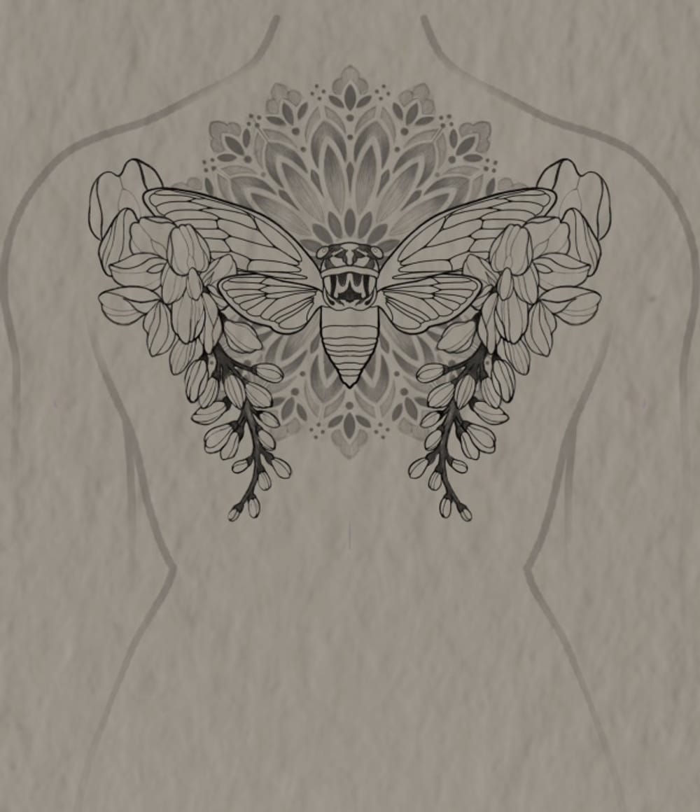Cicada/Wisteria 