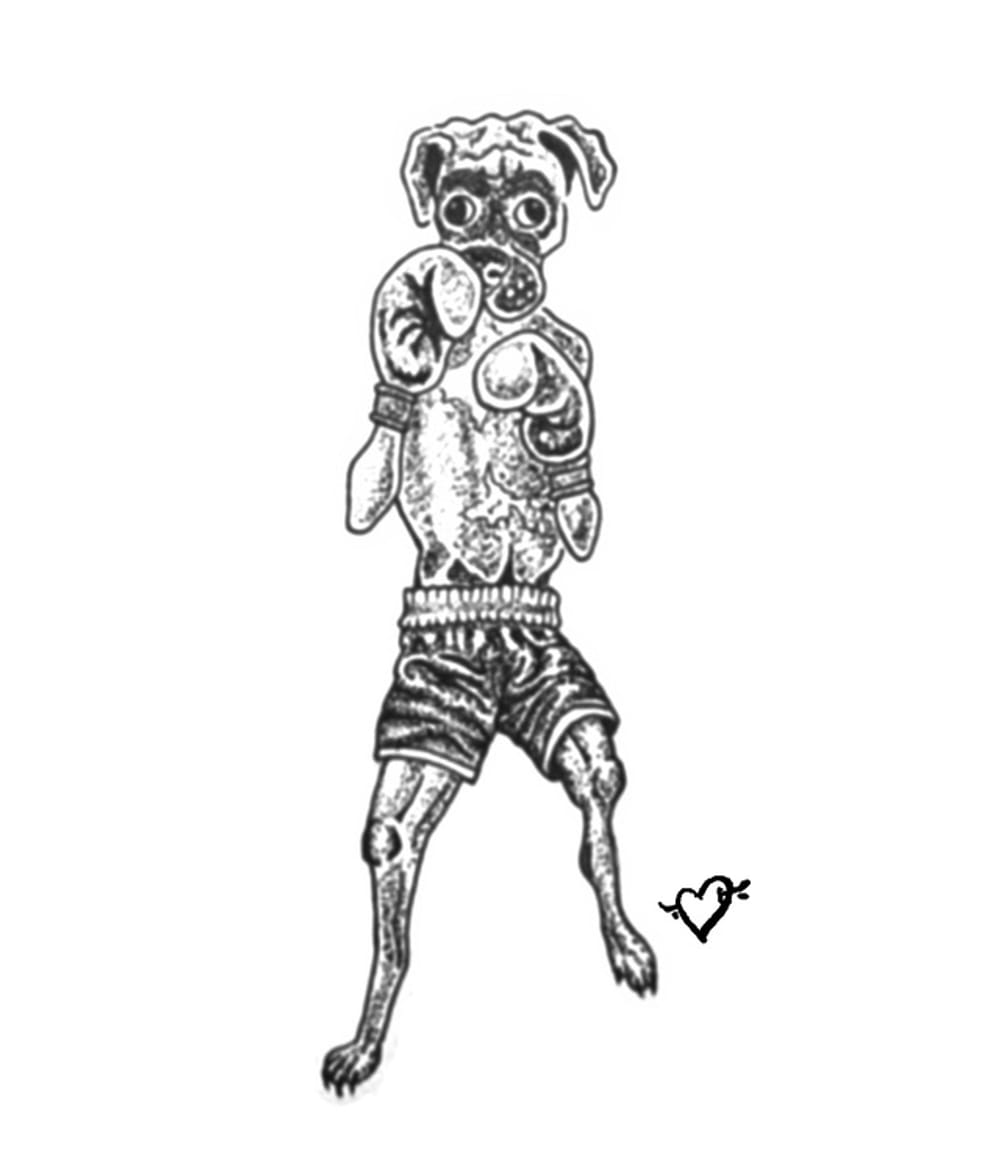 Bobert the boxing boxer