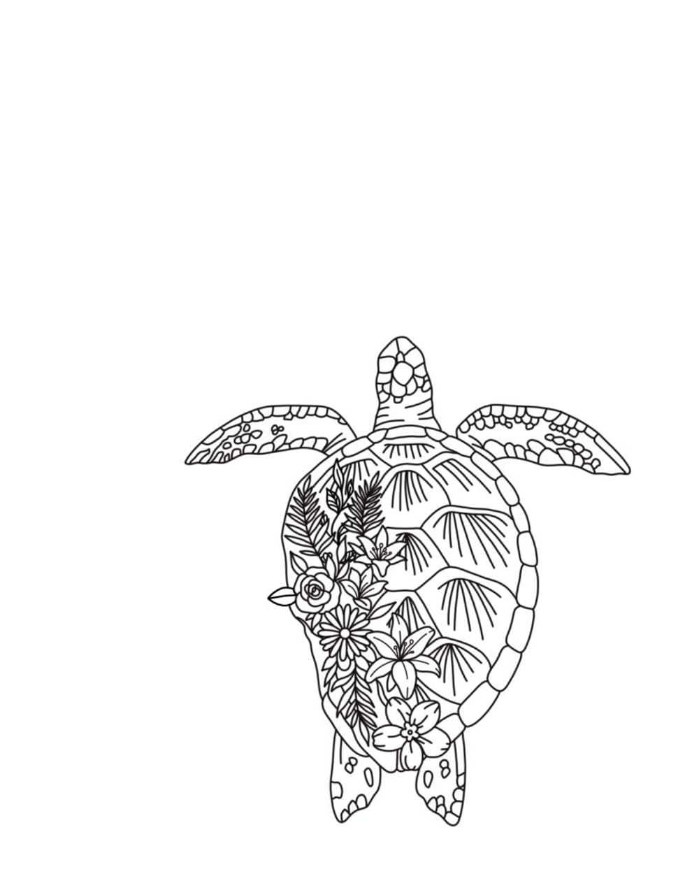 Turtle 