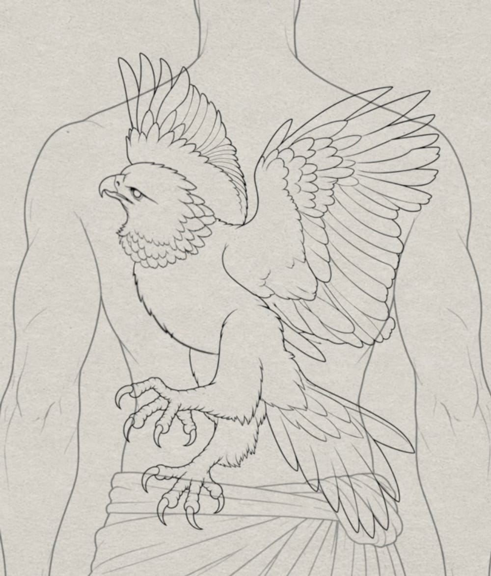 Harpy eagle 