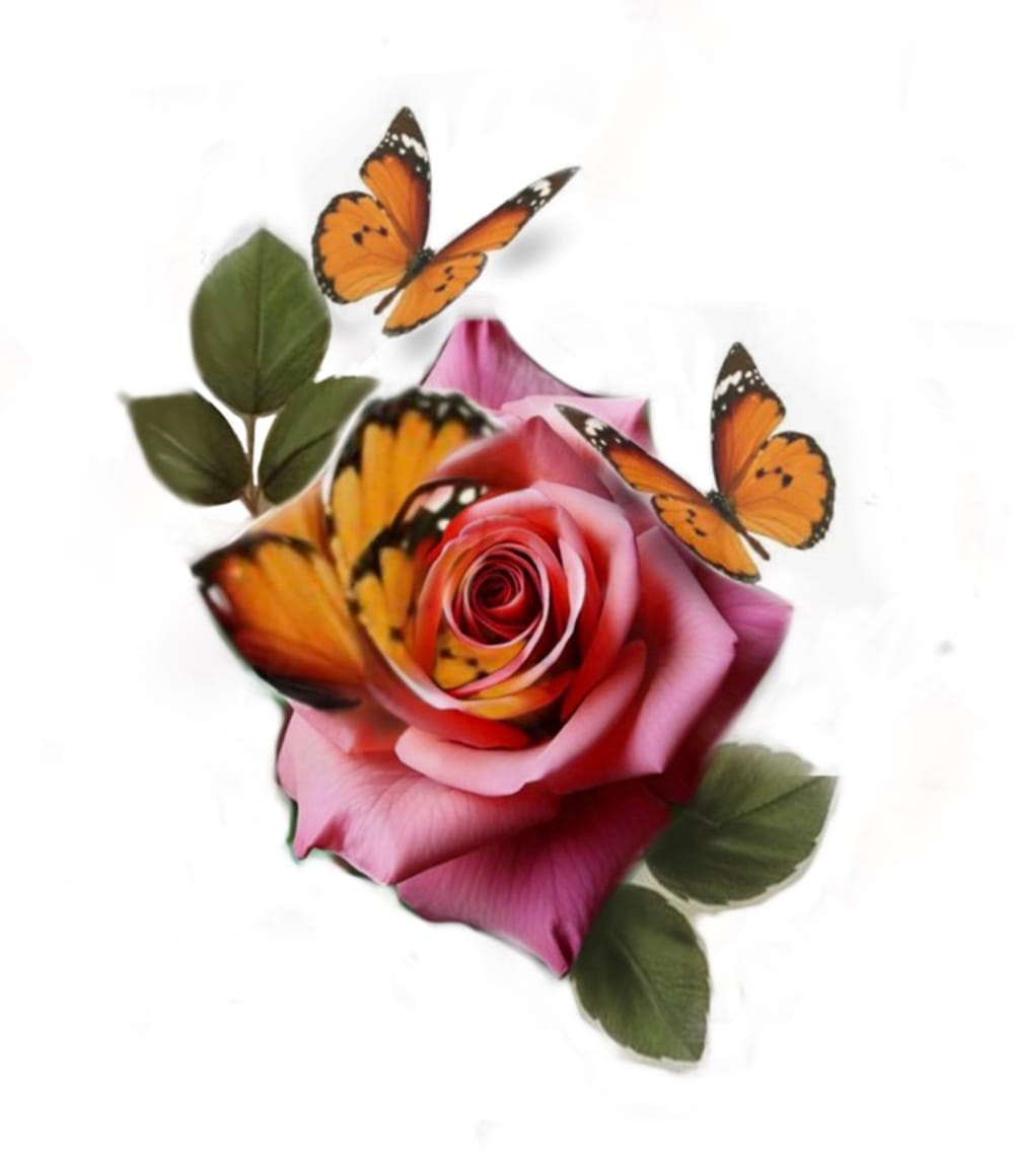 Butterfly Rose 