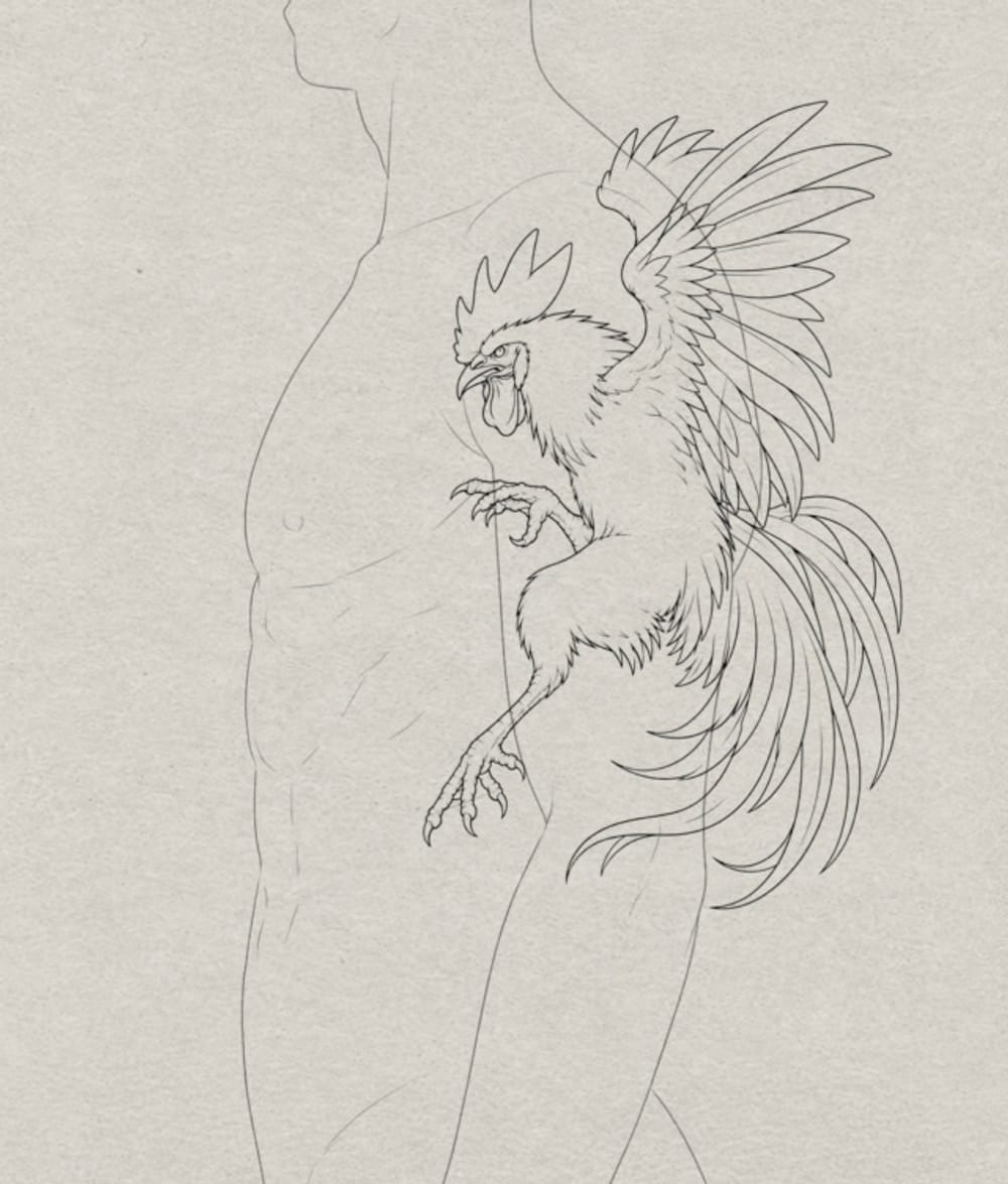 Rooster