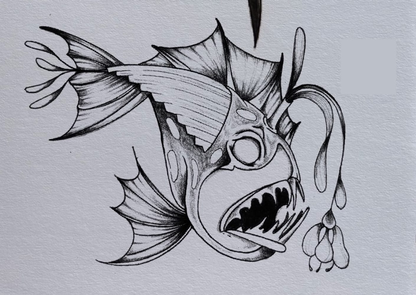 Lantern Fish with flower