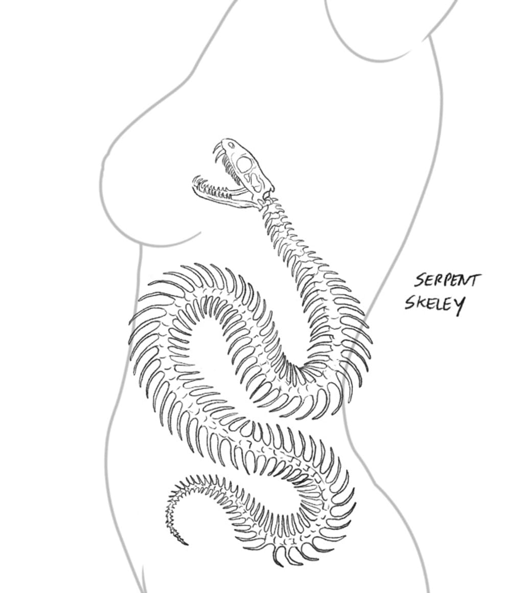 Serpent skeleton 