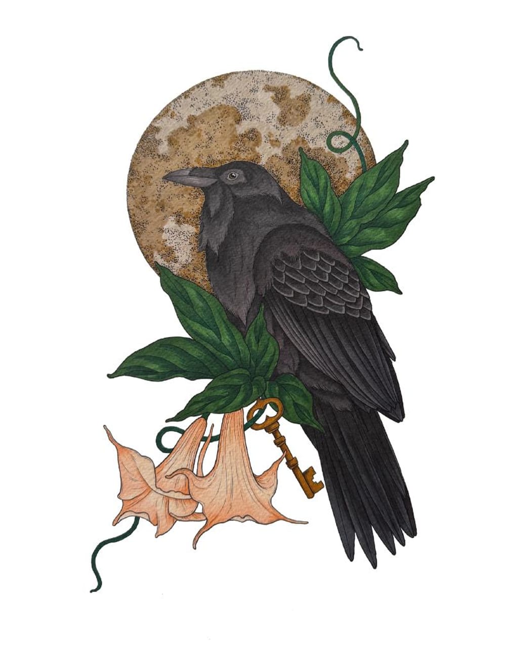 Moon Raven
