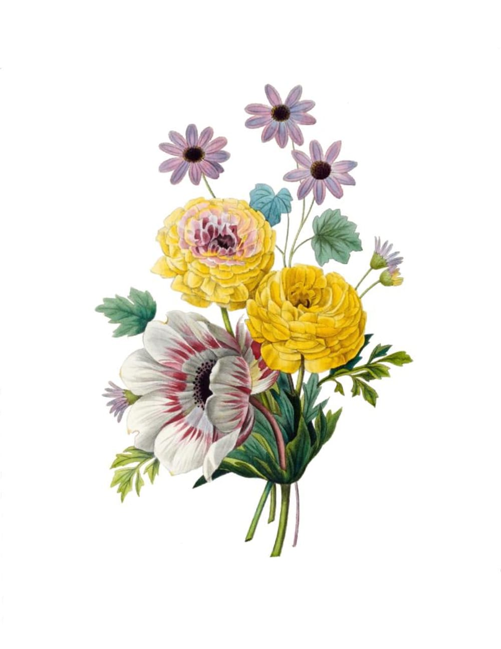 Redouté Bouquet